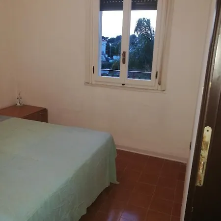 Nuova Temesa N.7